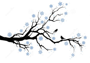 winter-branch