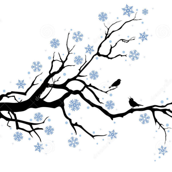 winter-branch